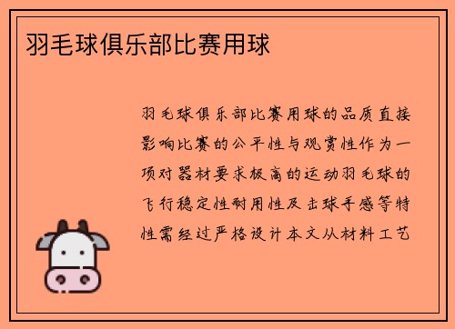 羽毛球俱乐部比赛用球